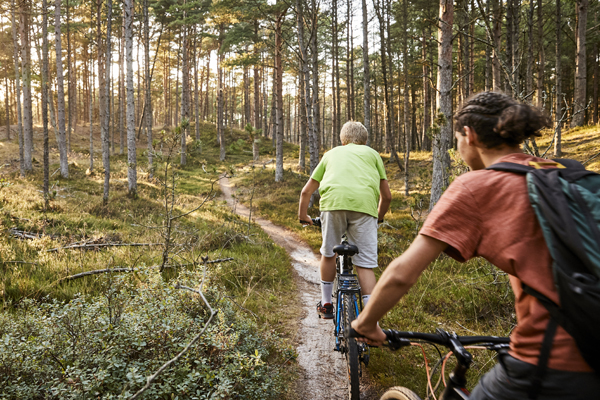 Mountainbike ruter i Skiveren